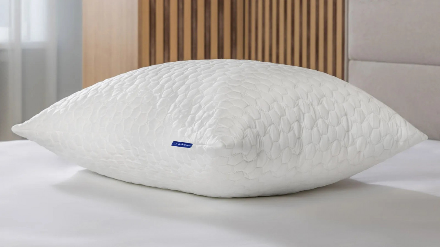 Чехол на подушку 70*50 Protect-a-Pillow Arctic Plus