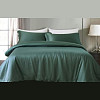 КПБ Askona Comfort Tencel (евро) Зеленый чай