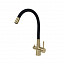 39021, Кухонный смеситель ARONA ARM 304 GOLD